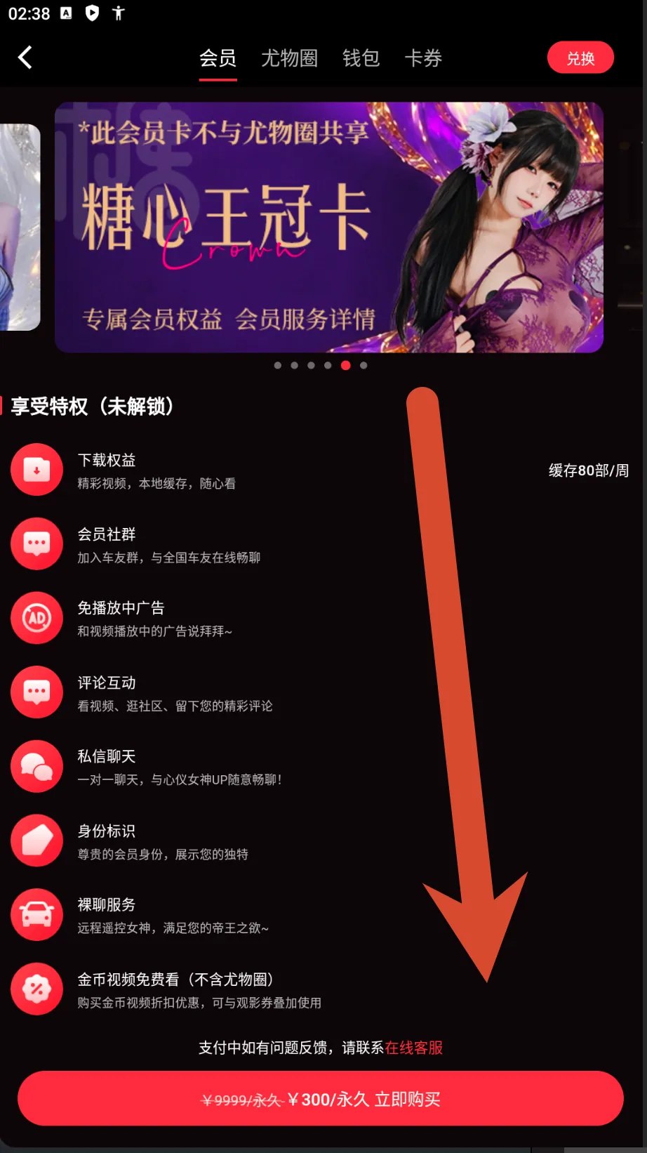 糖心Vlog皇冠会员卡价格截图
